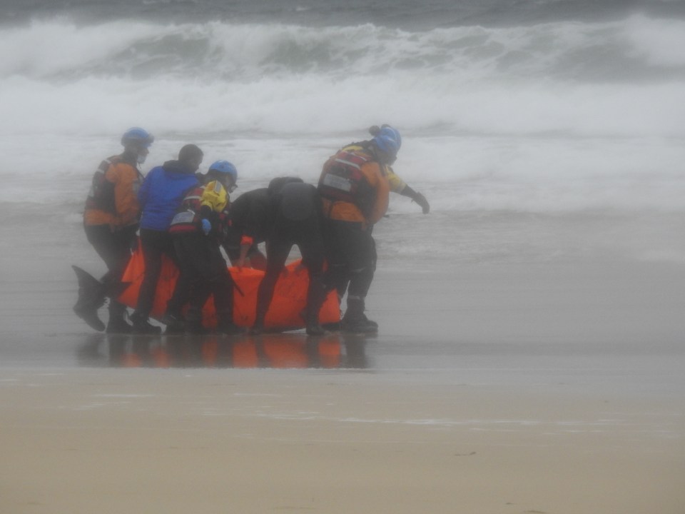 Rescuers managed to save one of the whales