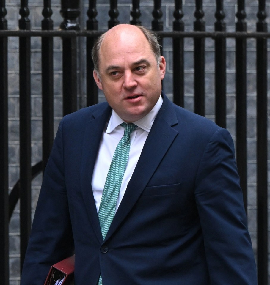 Defence Secretary Ben Wallace is quitting politics