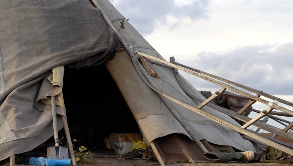 The beast found its way into Oleg's tent