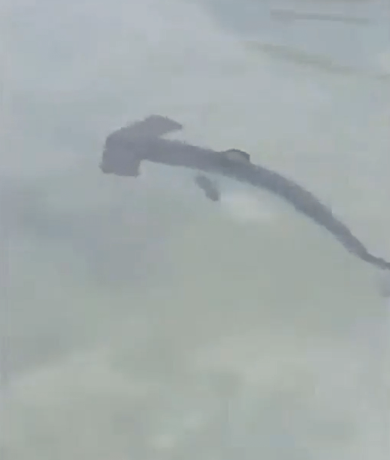 It comes after another hammerhead shark was seen just days before