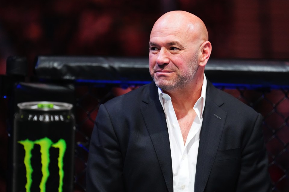 LAS VEGAS, NEVADA - JULY 08: Dana White enters the Octagon during the UFC 290 event at T-Mobile Arena on July 08, 2023 in Las Vegas, Nevada. (Photo by Chris Unger/Zuffa LLC via Getty Images)