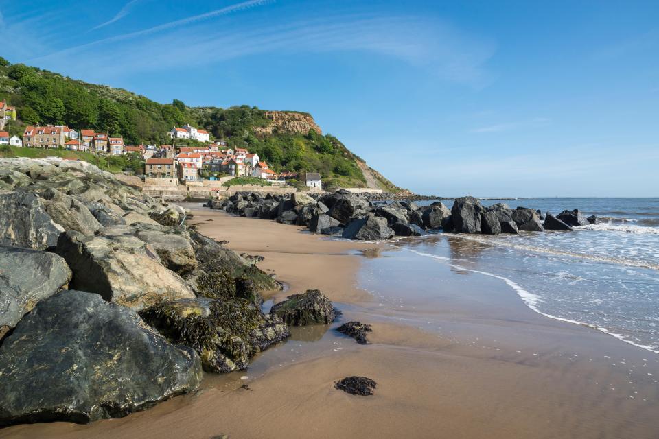 A 180-million-year-old fossil was found on the beach