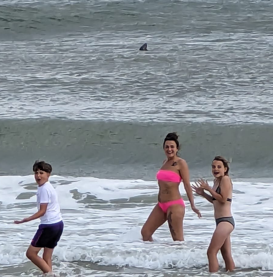 The 'shark' was swimming close to the sands as Brits frolicked about in swimwear completely unaware