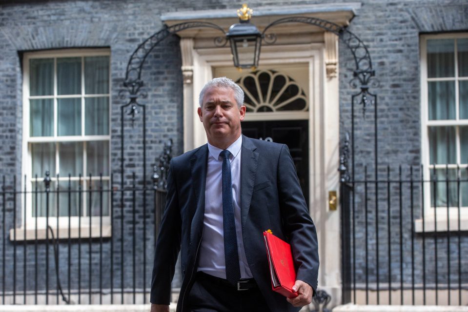 Health Secretary Steve Barclay said he is 'disappointed' that consultants are striking