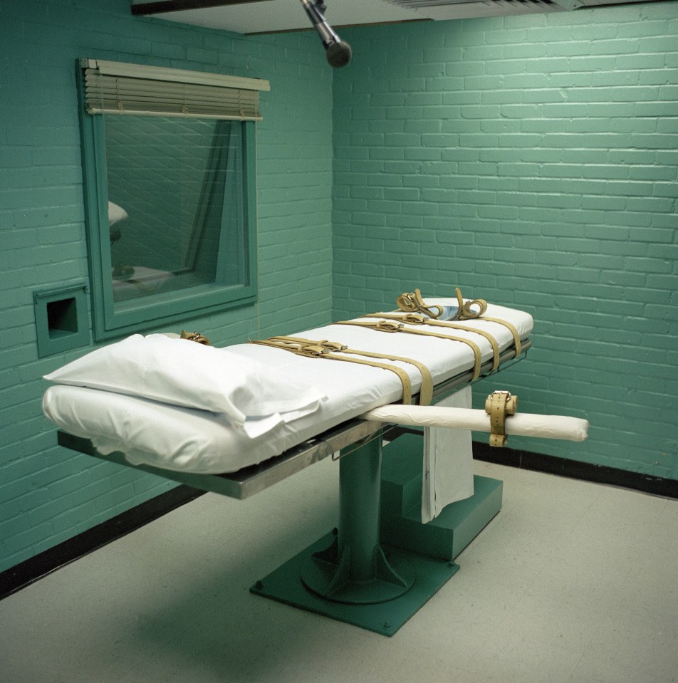 Death row inmates would be forced to breathe pure nitrogen under the new method, depriving them of oxygen until they die (stock image)