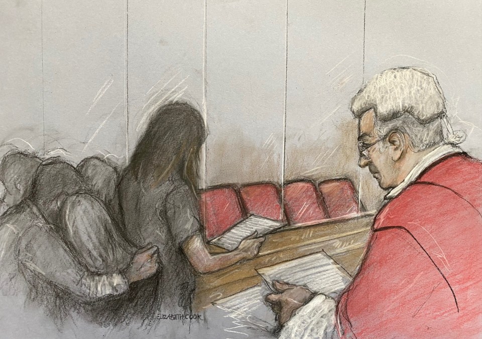 A court artist's drawing showing a parent of one of Letby's victims reading an impact statement to the court today ahead of the killer's sentencing