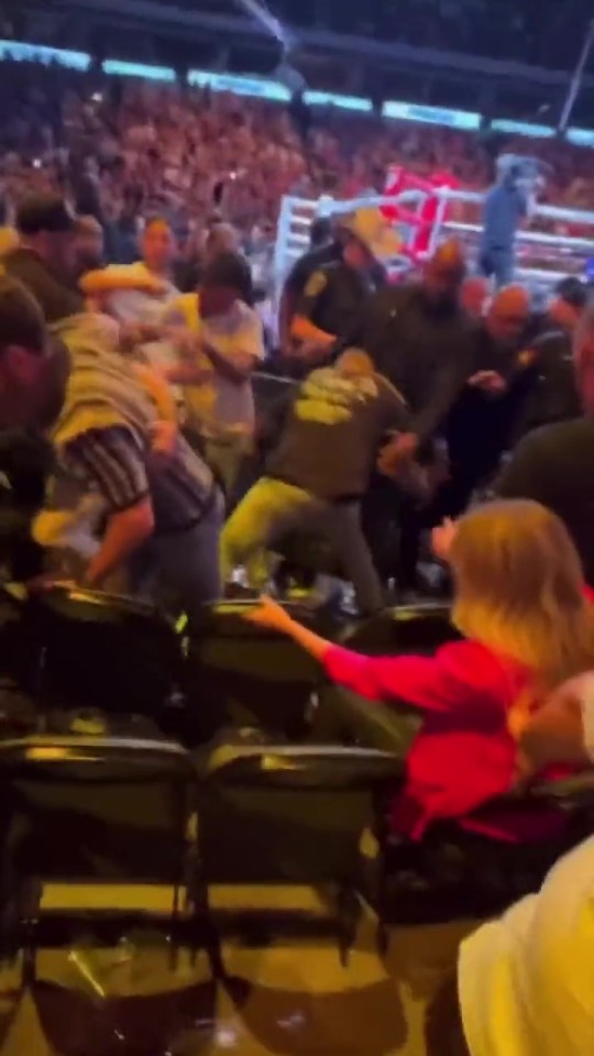 Several fans got involved in the brawl before security broke it up