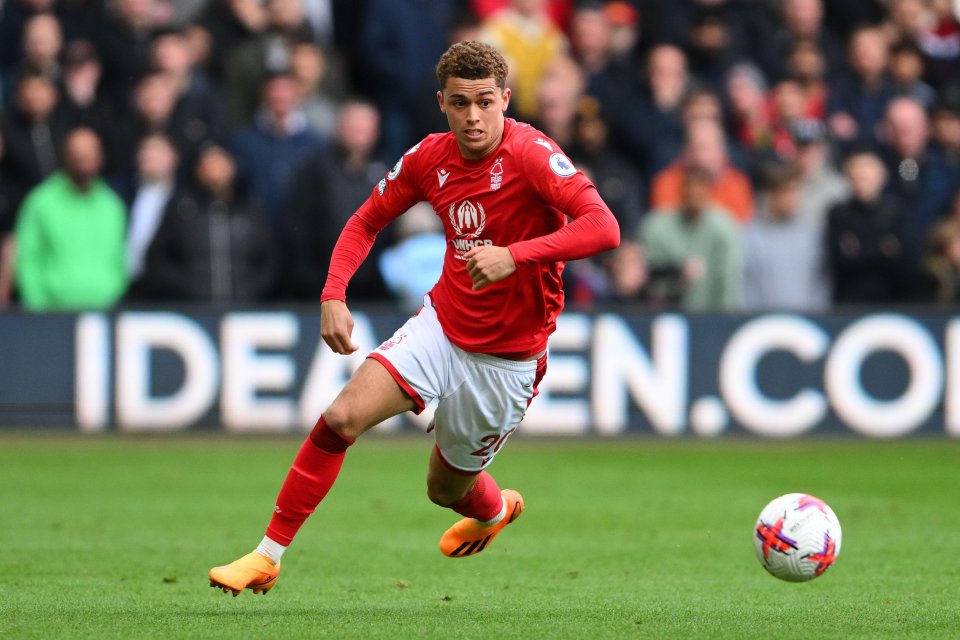 Brennan Johnson could allow Richarlison to play through the middle