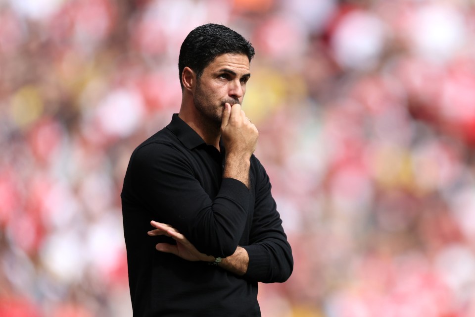 Mikel Arteta has already released eight big name players as Gunners boss