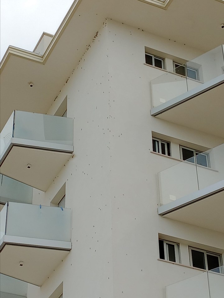 Holidaymakers have been forced to flee their resorts in Italy following a 'biblical' plague of grasshoppers