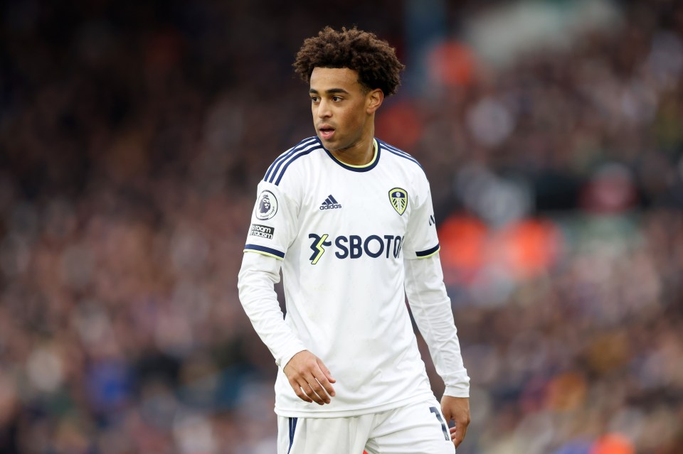 The Cherries have swooped after Chelsea pulled out of a move for the star