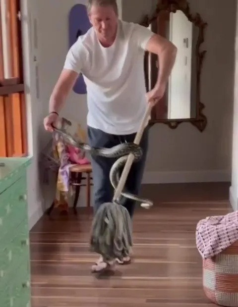 There were a total of three carpet pythons in McGrath's home