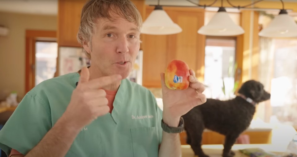 Dr Jones suggests removing the seeds from an apple core, or just giving your dog the apple pieces.