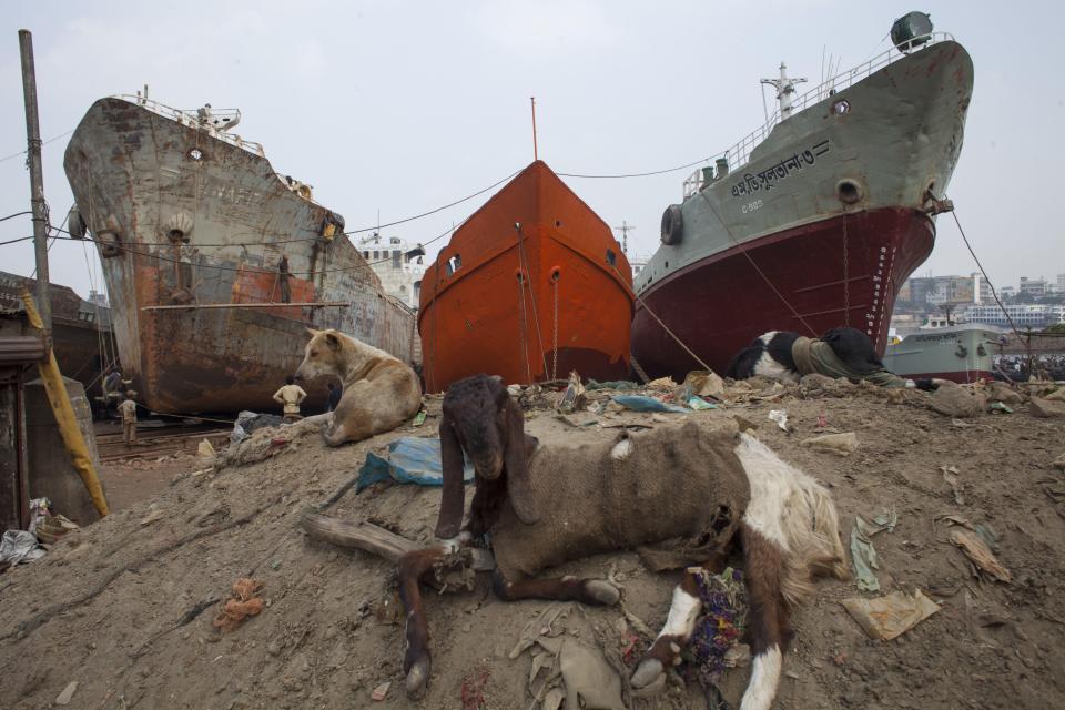 Three bulk carriers await their destruction at a shipyard in Bangladesh