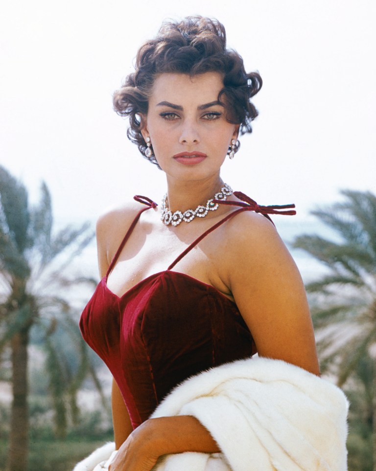 The brunette bombshell in her acting heyday
