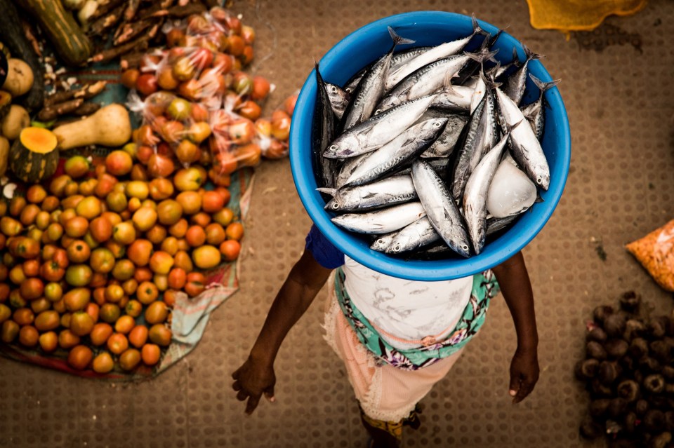 Fresh fish is hauled in every day and is served up by the island's restaurants