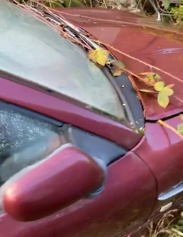 The explorer described abandoning the car as 'criminal'