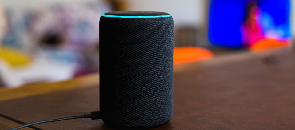 Smart speakers are fast becoming a staple device in people's homes