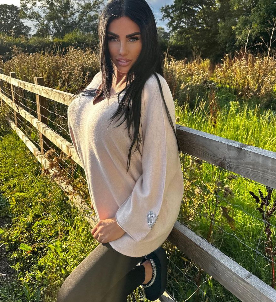 Katie  Price has dodged her bankruptcy hearing once again