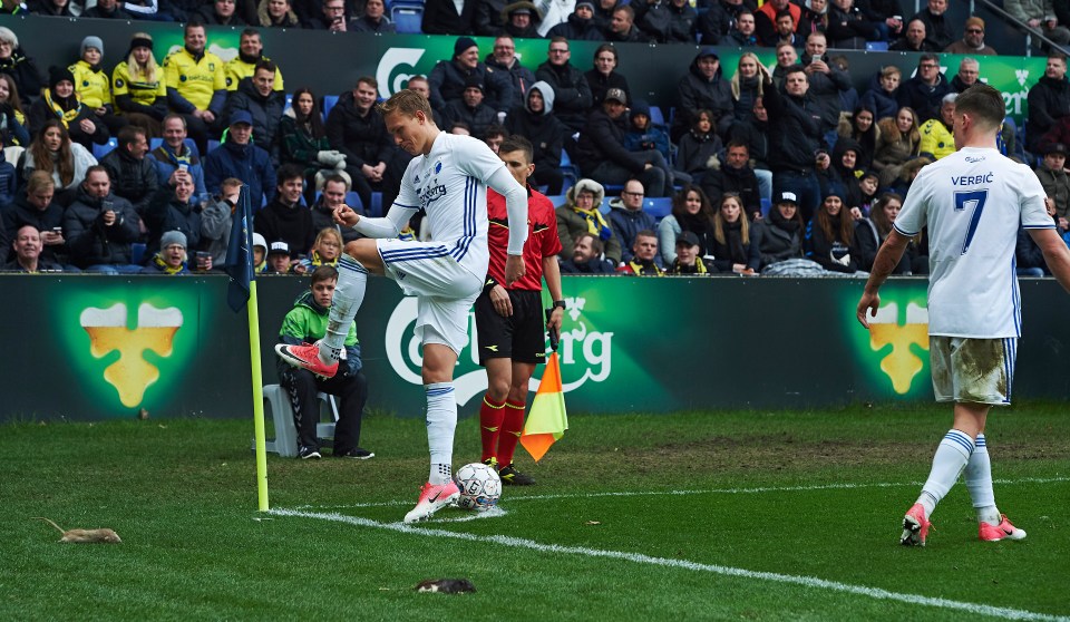 Copenhagen full-back Ludvig Augustinsson kicks out at a dead rat thrown on in the same local derby six years ago