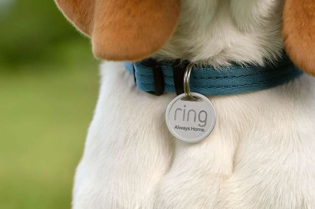 Ring announces a brand new product to keep track of your DOGS if they go missing