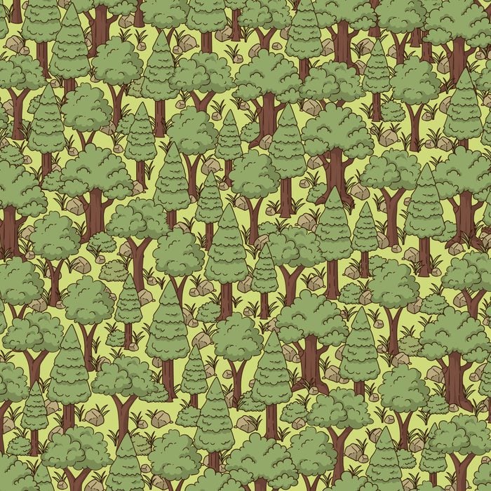 You must have razor-sharp vision if you can spot the hedgehog hiding amongst the trees