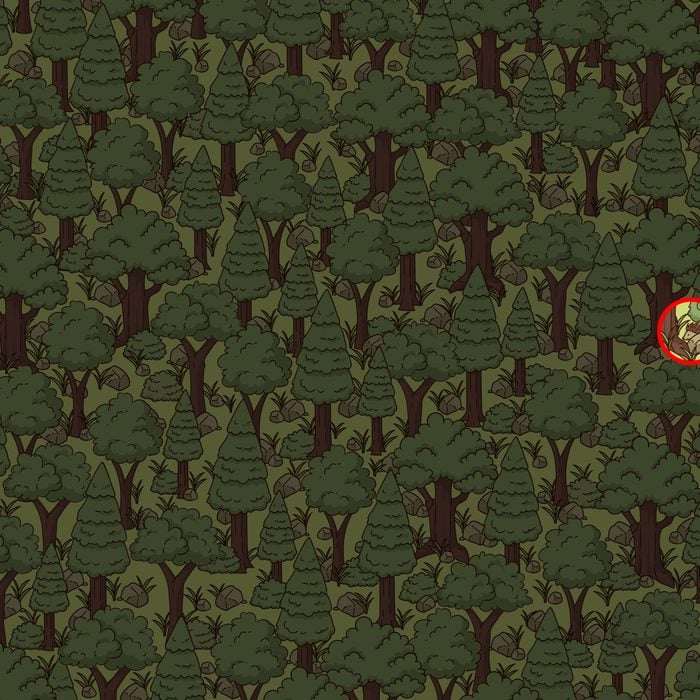 The hidden hedgehog can be found to the right of the trees