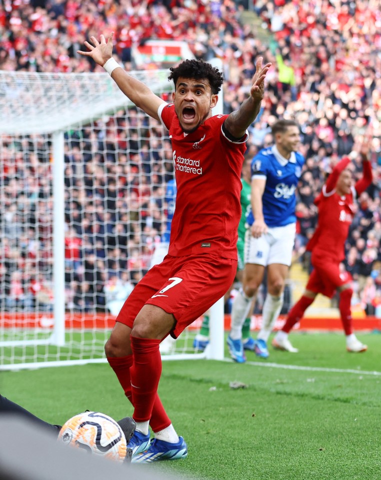 Diaz appeals for a penalty during the game against Everton last week