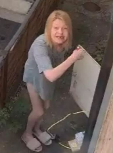 A video captured Tracey Smith using a lighter to set fire to an electrical box