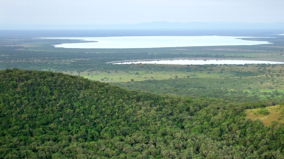 The group were attacked whilst touring the Queen Elizabeth National Park in Uganda
