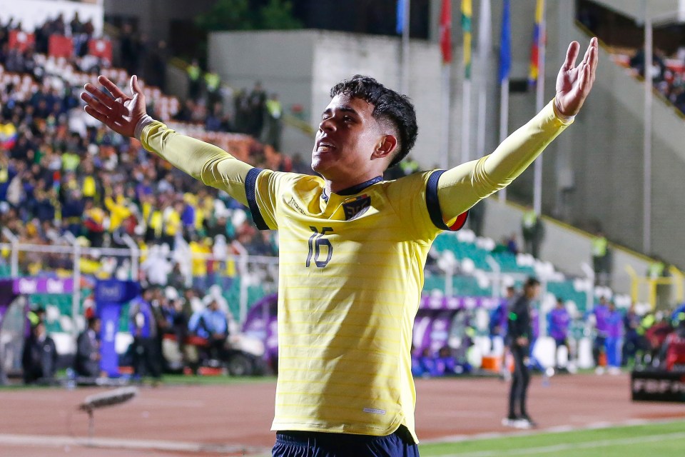 Chelsea signed the 16-year-old in a deal believed to be worth around £17.5m