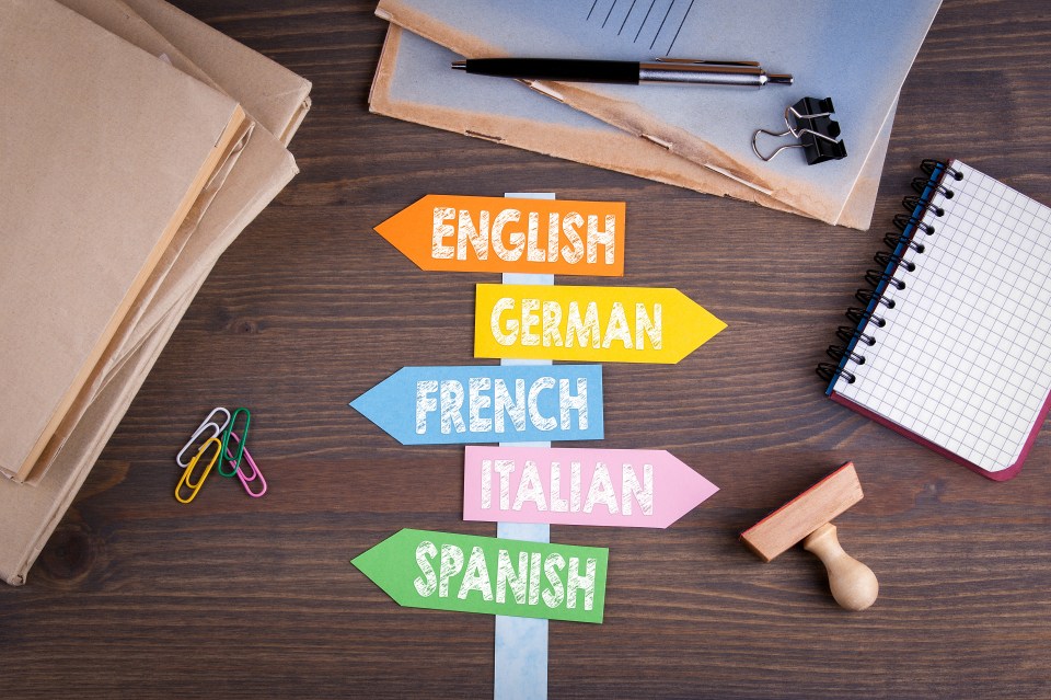 Taking an intensive language course helps improve concentration levels