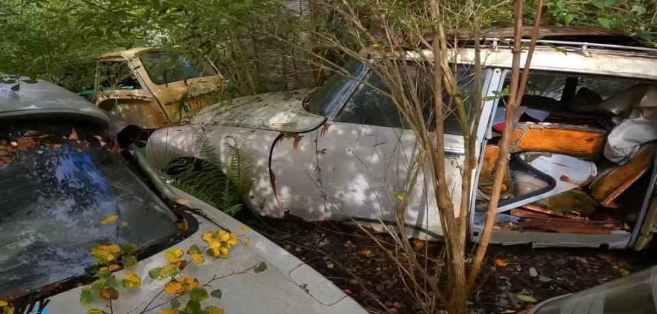 The influencer found a number of forgotten cars clustered together