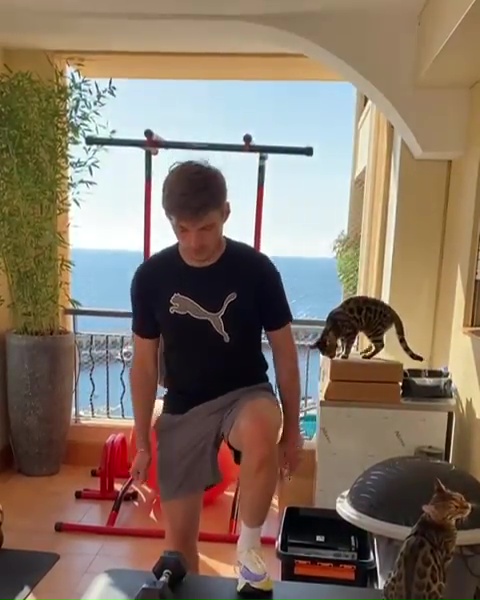 Max working out on his balcony with his two Bengal cats in the background
