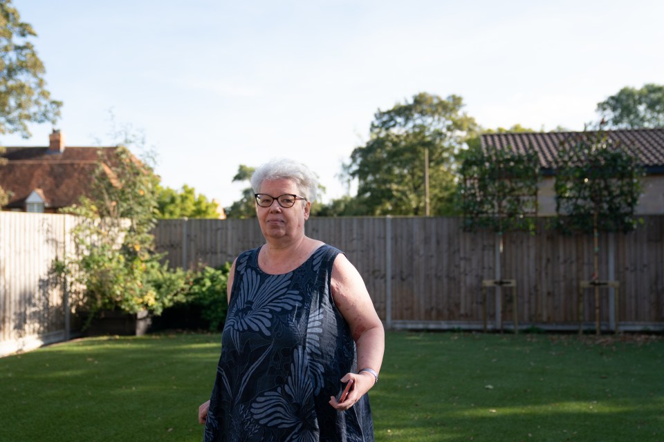 Neighbour Jilly Bozdogan, whose garden backs onto the unauthorised spa pool block at the home of Hannah Ingram-Moore