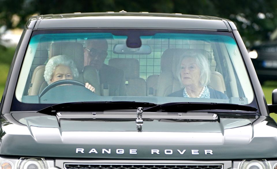 Car fans may spot a unique Labrador mascot fitted to the bonnet
