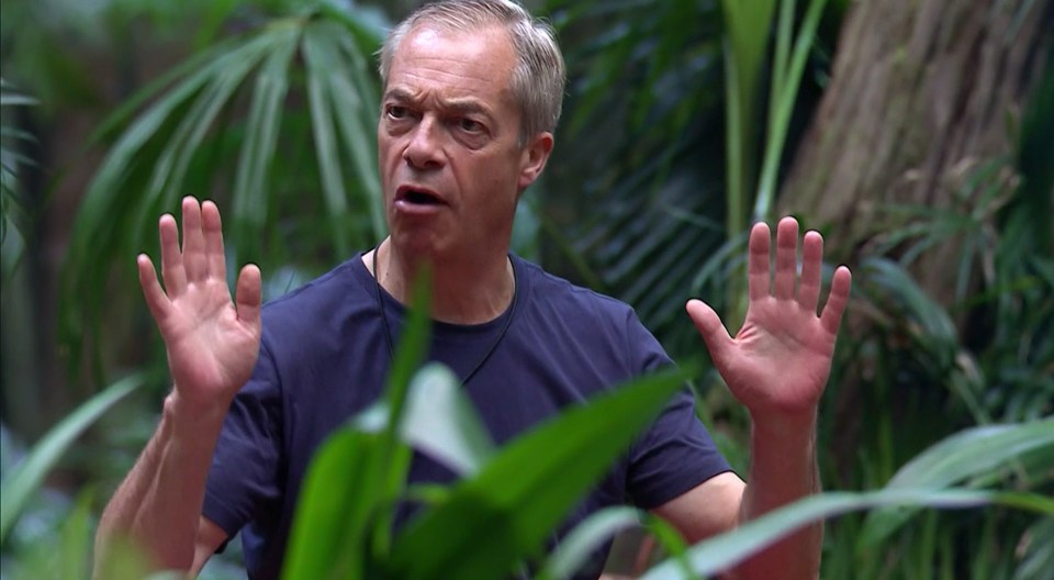 Nigel Farage has been at odds with Nella Rose