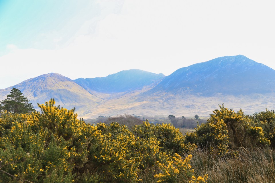 The stunning Wicklow Mountains