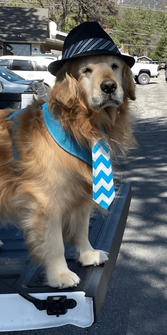 Mayor Max III gives out ties to children who visit him but they come at an expensive price