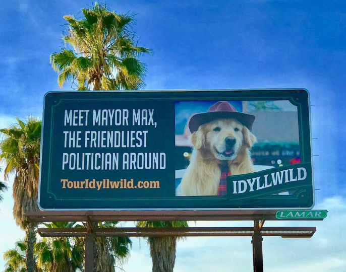 Mayor Max has always been the star of Idyllwild but it comes at a big price as the spoilt pooch can cost up to $120,000 a year to keep in office