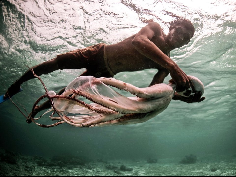 The Bajau people can dive up to 200ft deep and hold breath for 10 minutes