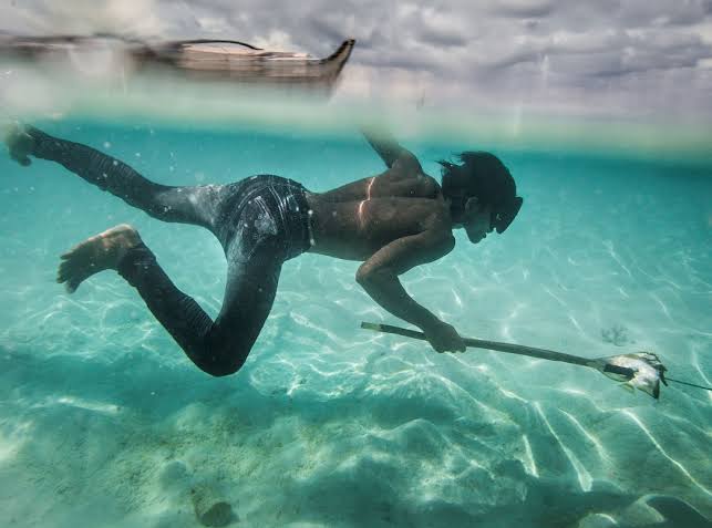 Bajau developed a "sea nomad gene" which gave them larger spleens