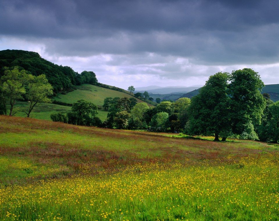 The debris landed in pretty countryside around Llanilar