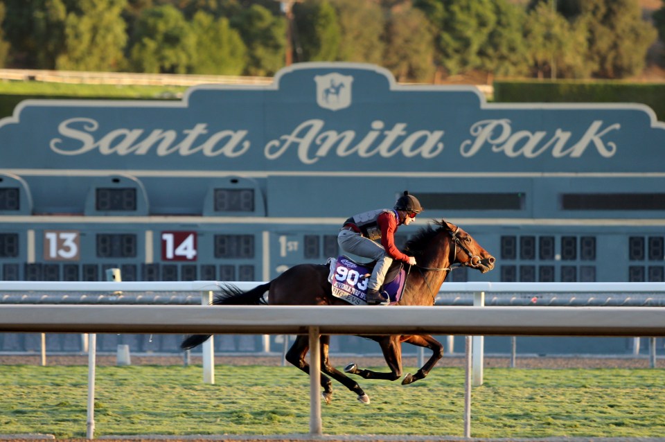 Will Big Evs be out on his own in the Juvenile Turf Sprint on Friday night?