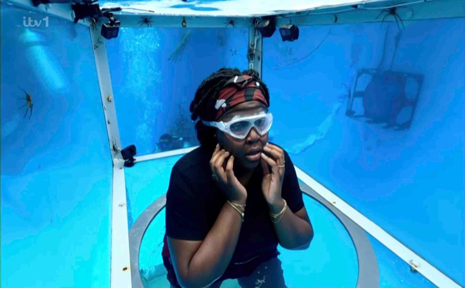 Nella remained in a box for the duration of the task