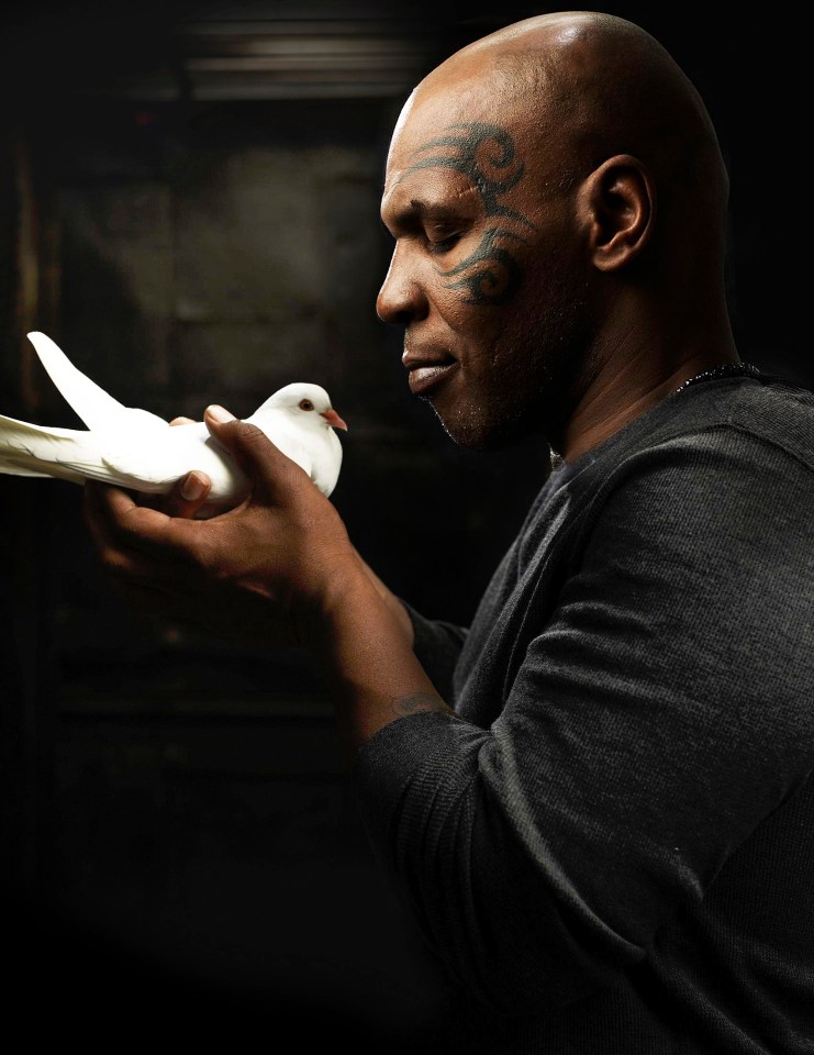 Tyson has plenty of stories to tell about pigeons