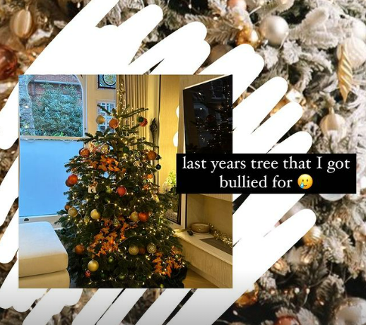 Zara's tree was covered in red and gold decorations