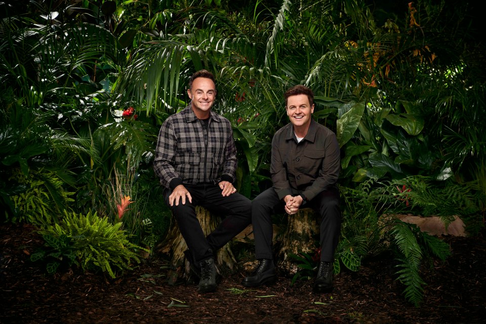 Ant and Dec have also posed for new promotional shots