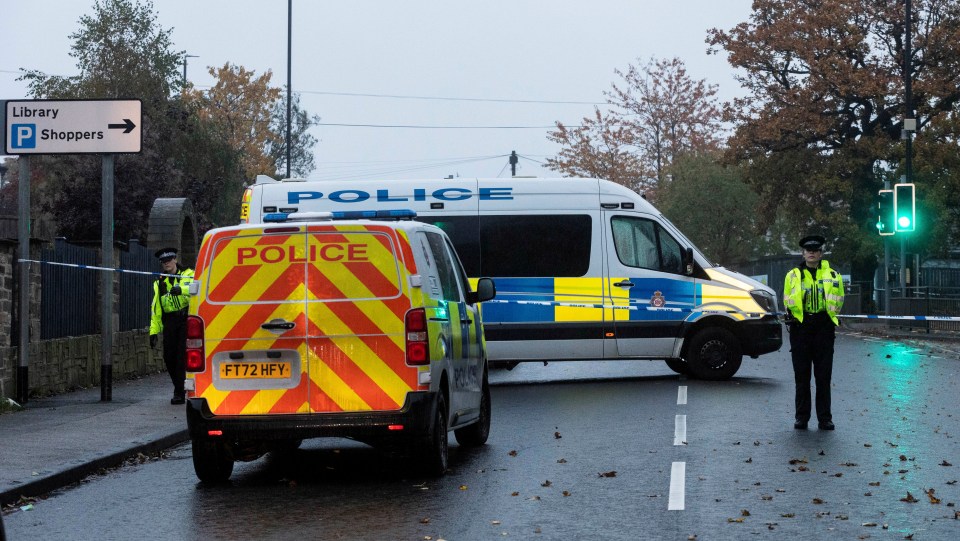 Alfie Lewis was knifed outside a primary school