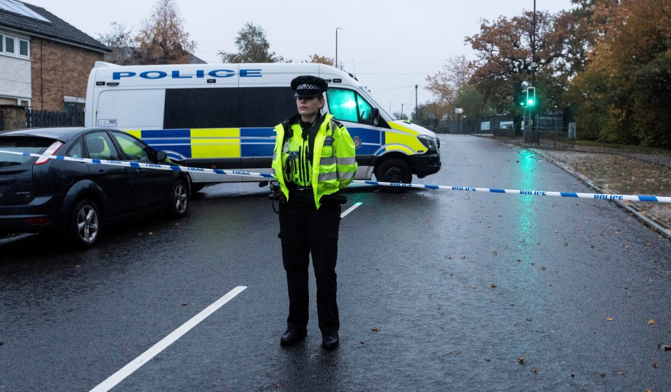 The teen was reportedly picking up a pal's brother from school